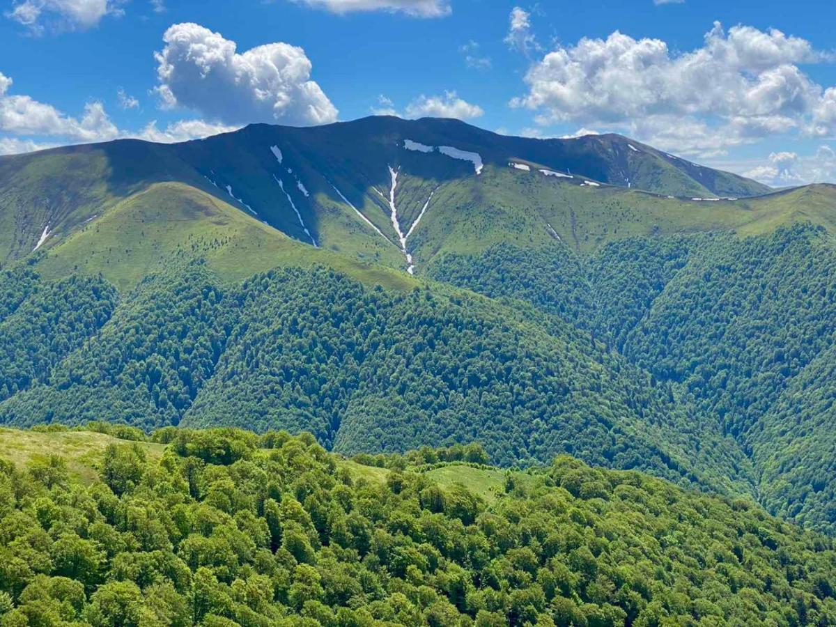 Під Боржавою Volovets Εξωτερικό φωτογραφία